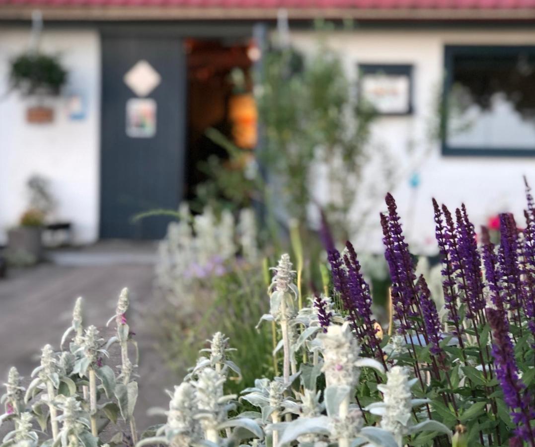 Tryde 1303 B&B på Österlen Tomelilla Dış mekan fotoğraf